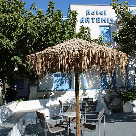 Ξενοδοχείο Artemis 3*